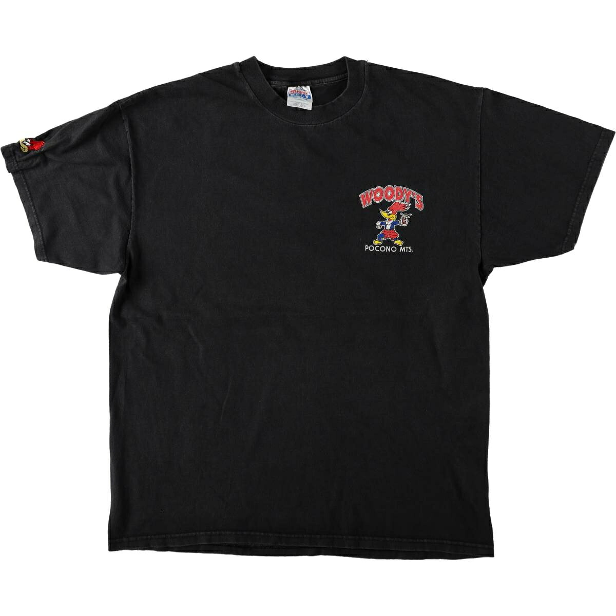 Hanes/ヘインズ BEEFY-T Woody Woodpecker ウッディーウッドペッカー アニメ キャラクタープリントTシャツ